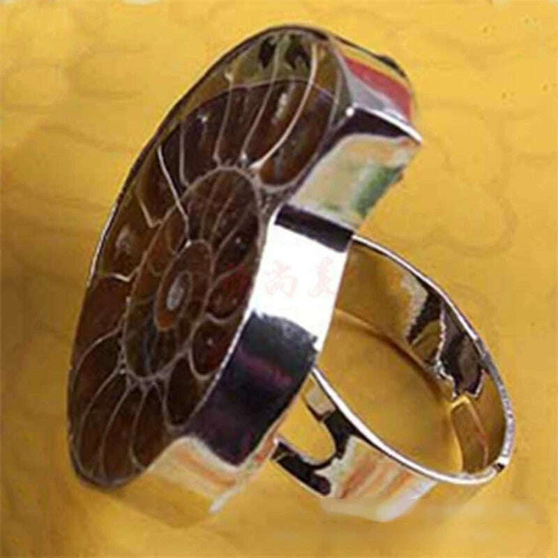 KIMLUD, Unique Adjustable Ring Fashion Natural Ammonite Reliquiae-Finger Ring Jewelry Natural Fossil-Shell-Ring Women Girl Teen, KIMLUD Women's Clothes
