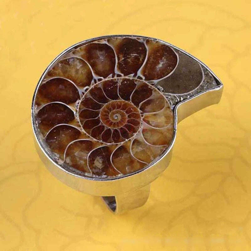 KIMLUD, Unique Adjustable Ring Fashion Natural Ammonite Reliquiae-Finger Ring Jewelry Natural Fossil-Shell-Ring Women Girl Teen, KIMLUD Women's Clothes
