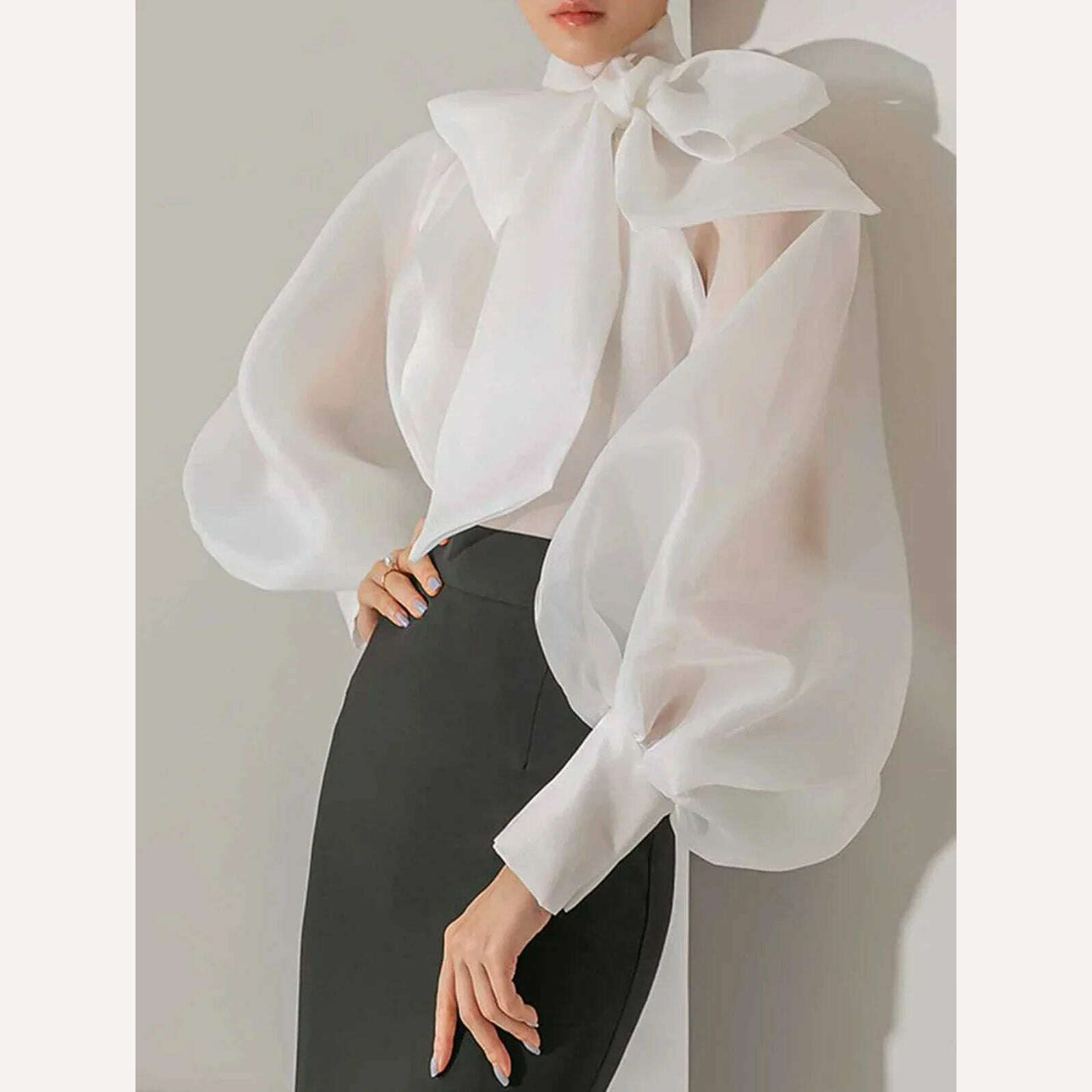 KIMLUD, Women's Elegant Lantern Sleeve Shirt Chiffon Transparent Long Sleeve Sweet Lace-up Neck Polk Dot Casual Fashion Autumn Shirts, White / M / CHINA, KIMLUD Women's Clothes